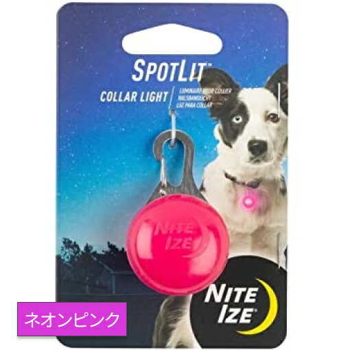 ナイトアイズ スポットリット Ledライト Niteize お散歩 ゲーミング ネオンピンク フラッシュ 光る 夜道 安全 犬 犬用 生活防水 防犯 人気商品ランキング ネオンピンク ナイトアイズ スポットリット Ledライト Niteize お散歩 ゲーミング ネオンピンク フラッシュ 光る 夜道 安全 犬 犬用 生活防水 防犯 人気商品ランキング ネオンピンク