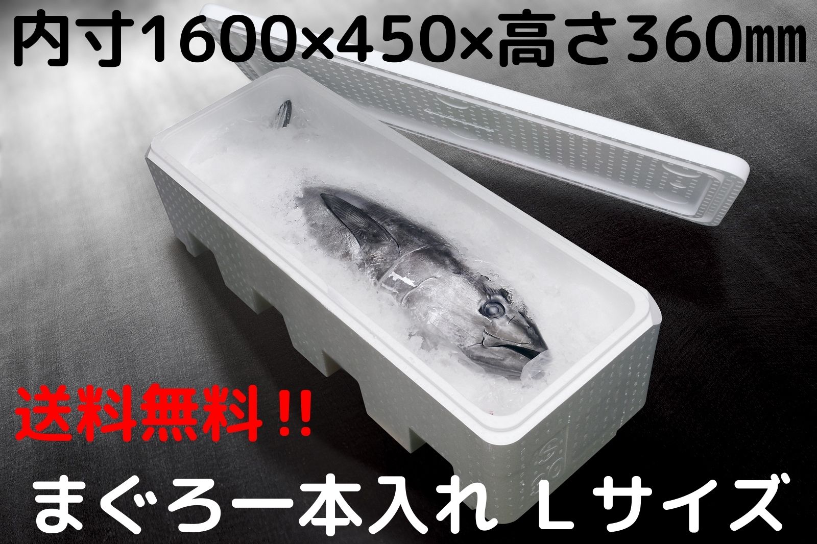 楽天市場】【送料無料】発泡スチロール容器 発砲スチロール まぐろ一本入れ Sサイズ マグロ専用 鮪用 超特大 大箱 大きい 丈夫 頑丈 保冷箱  クーラーボックス 保冷 丈夫 魚 釣り レジャー【YMG-30】（幅480×奥行1280×高さ362） : はっぽうくん楽天市場店