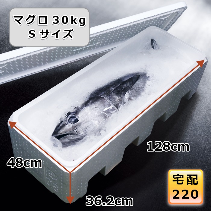 【5％OFF 4/10 01:59まで】発泡スチロール 箱 220サイズ クーラーボックス 大型 ホームセンター 保冷 マグロ 魚 特大 大箱 まぐろ一本入れ 保温 容器 釣り Sサイズ【幅480×奥行1280×高さ362】【YMG-30】 14,605円