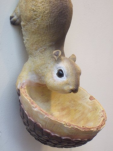 Happy Goods Collection Bird Feeder Wall Hangings Type Squirrel