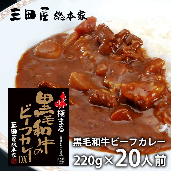 内祝い 内祝 お返し 送料無料 惣菜 母の日 ギフト 味極まる黒毛和牛のビーフカレーDX 20食 セット 詰め合わせ 三田屋総本家 出産内祝い 入学 卒業 結婚内祝い 結婚祝い 出産祝い 引き出物 香典返し 快気祝い お祝い返し 引越し 挨拶 お礼 プレゼント 【代引不可】