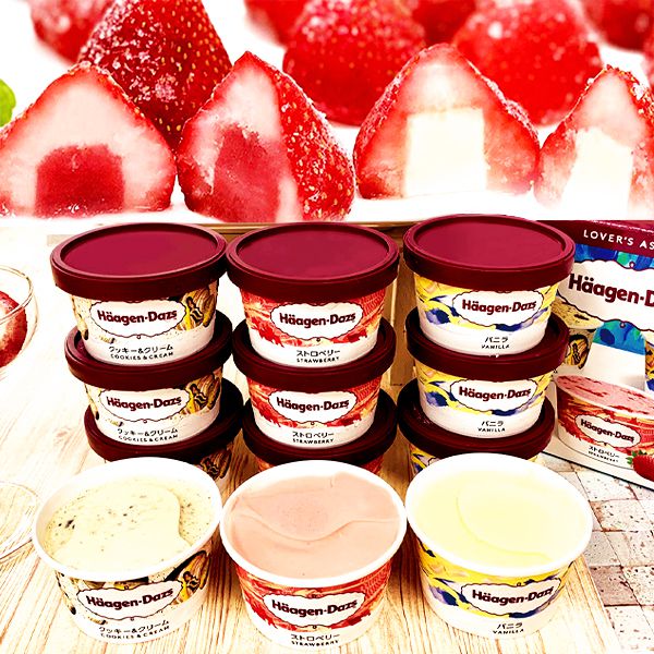 内祝い 内祝 お返し 送料無料 お取り寄せスイーツ スイーツ 母の日 ギフト セット ハーゲンダッツ & 苺アイス S-HDR 出産内祝い 結婚内祝い 結婚祝い 出産祝い 引き出物 香典返し 快気祝い お祝い返し 引越し 挨拶 お礼 プレゼント 入学 祝い 卒業