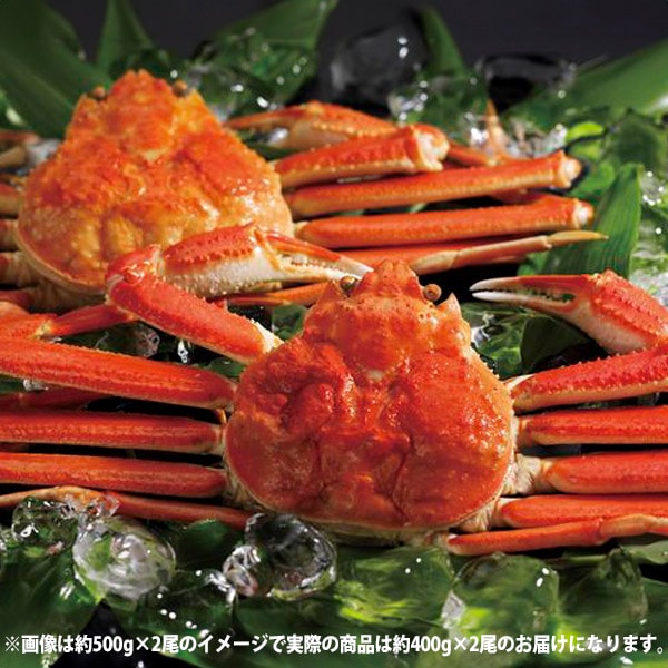 魚介類 海産物 母の日 ギフト ボイル ずわいがに姿 400g 2尾 セット 詰め合わせ 蟹 カニ ズワイガニ 食品 お取り寄せ グルメ 内祝い お返し 出産内祝い 結婚内祝い 結婚祝い 出産祝い 香典返し 快気祝い お祝い返し 引越し 挨拶 お礼 プレゼント 送料無料 400*2