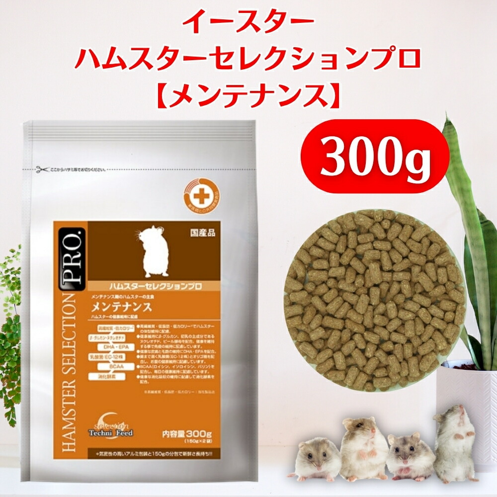 楽天市場】【全国送料無料】イースター ハムスターセレクション