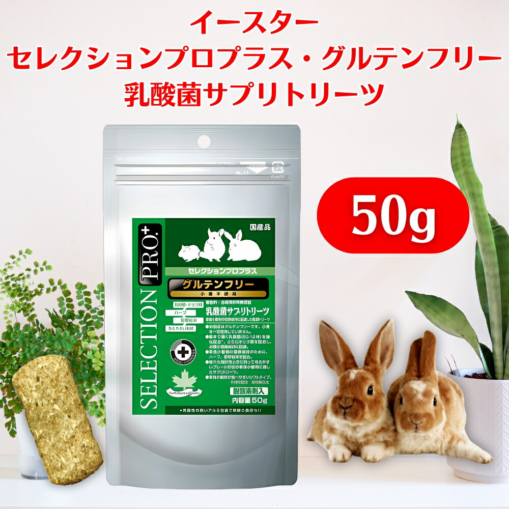 Oxbow Herbi Care ハービィケア454g 新品 楽天市場】Herbi Care ハービィケア ファイングラインド