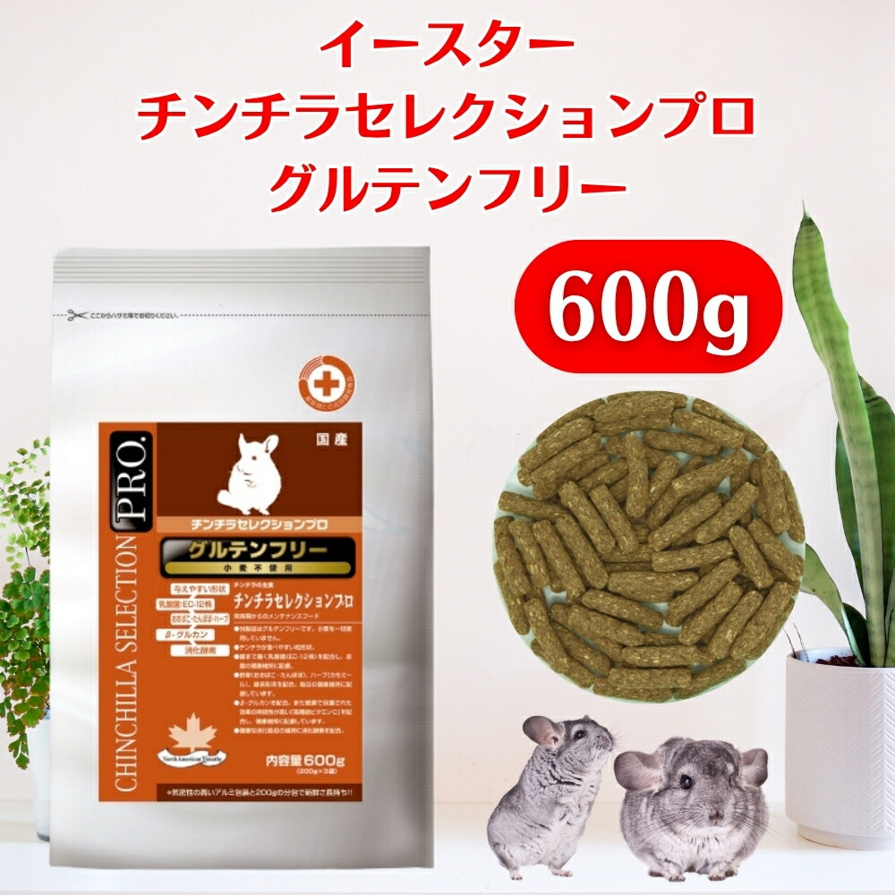 楽天市場】【最大1000円オフクーポンあり】チンチラ チンチラ