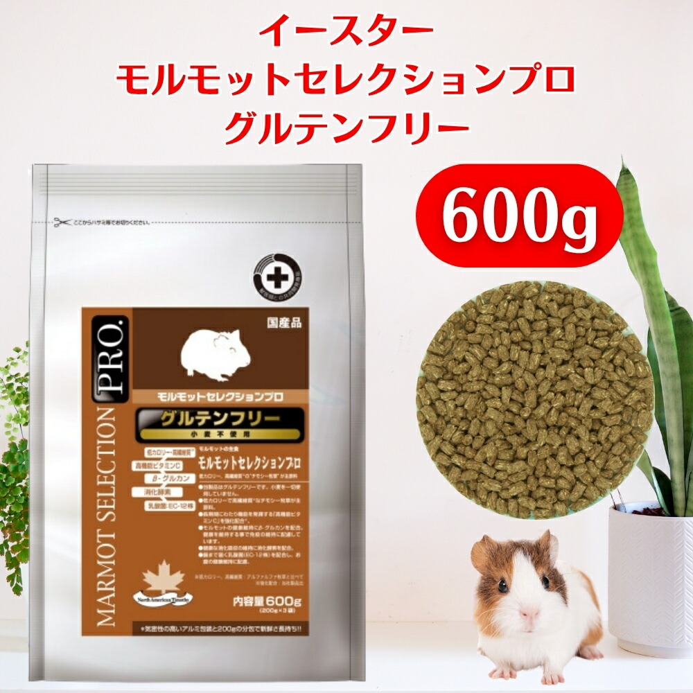 楽天市場】イースター バニーセレクションプロ グルテンフリー