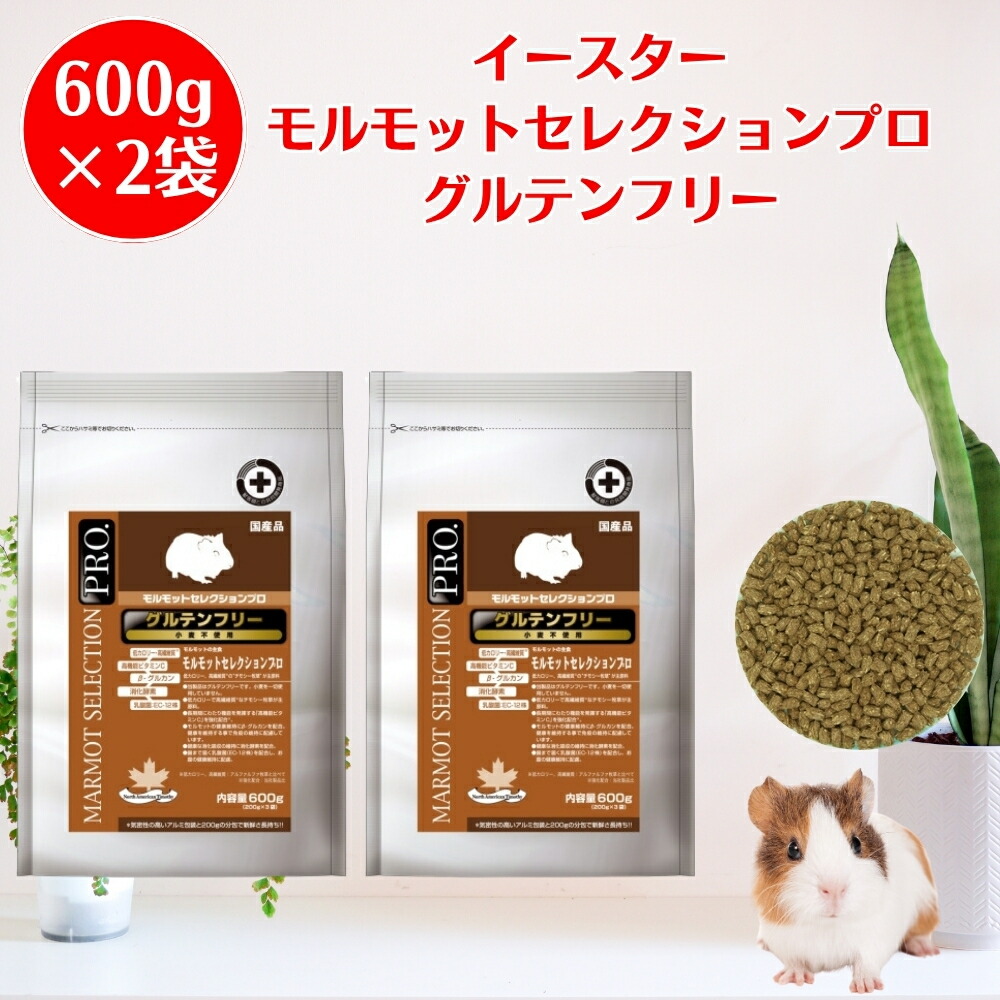 楽天市場】【最大1000円オフクーポンあり】イースター