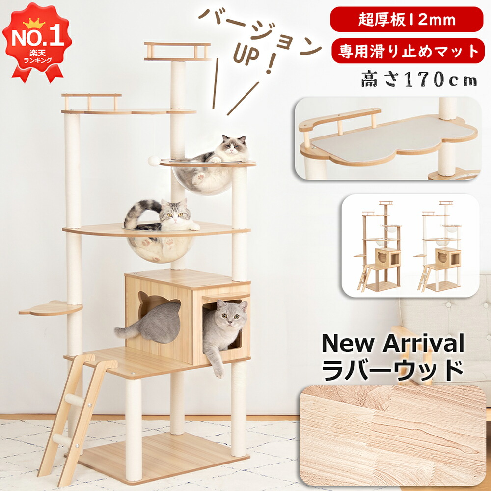 楽天市場】通常価格より3000円OFF【楽天1位・12冠達成】 キャット