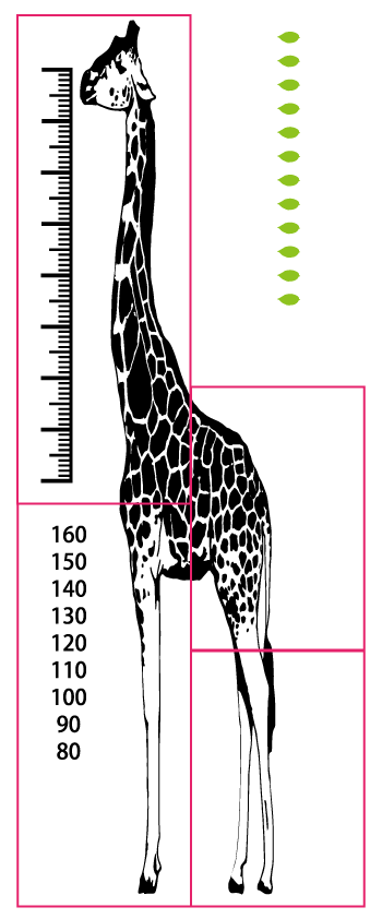 楽天市場 セール 身長計 0cm キリン ウォールステッカー インテリア 店 子ども 部屋 測定 きりん 動物 店 ウォールステッカー Happy Sticker