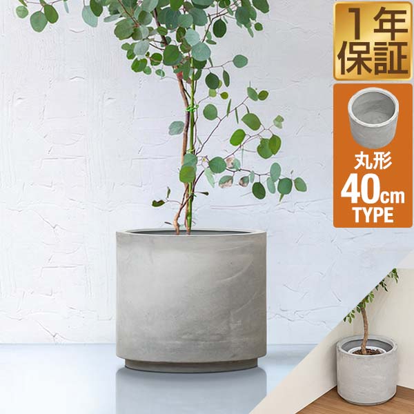 クリーム色プランターカバー 楽天市場】プランター カバー 鉢カバー おしゃれ 人気 観葉植物