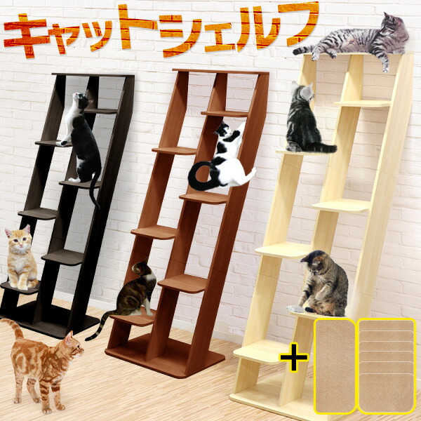 楽天市場】Bonbi ボンビアルコン キャットウォーク CW-SB キャット