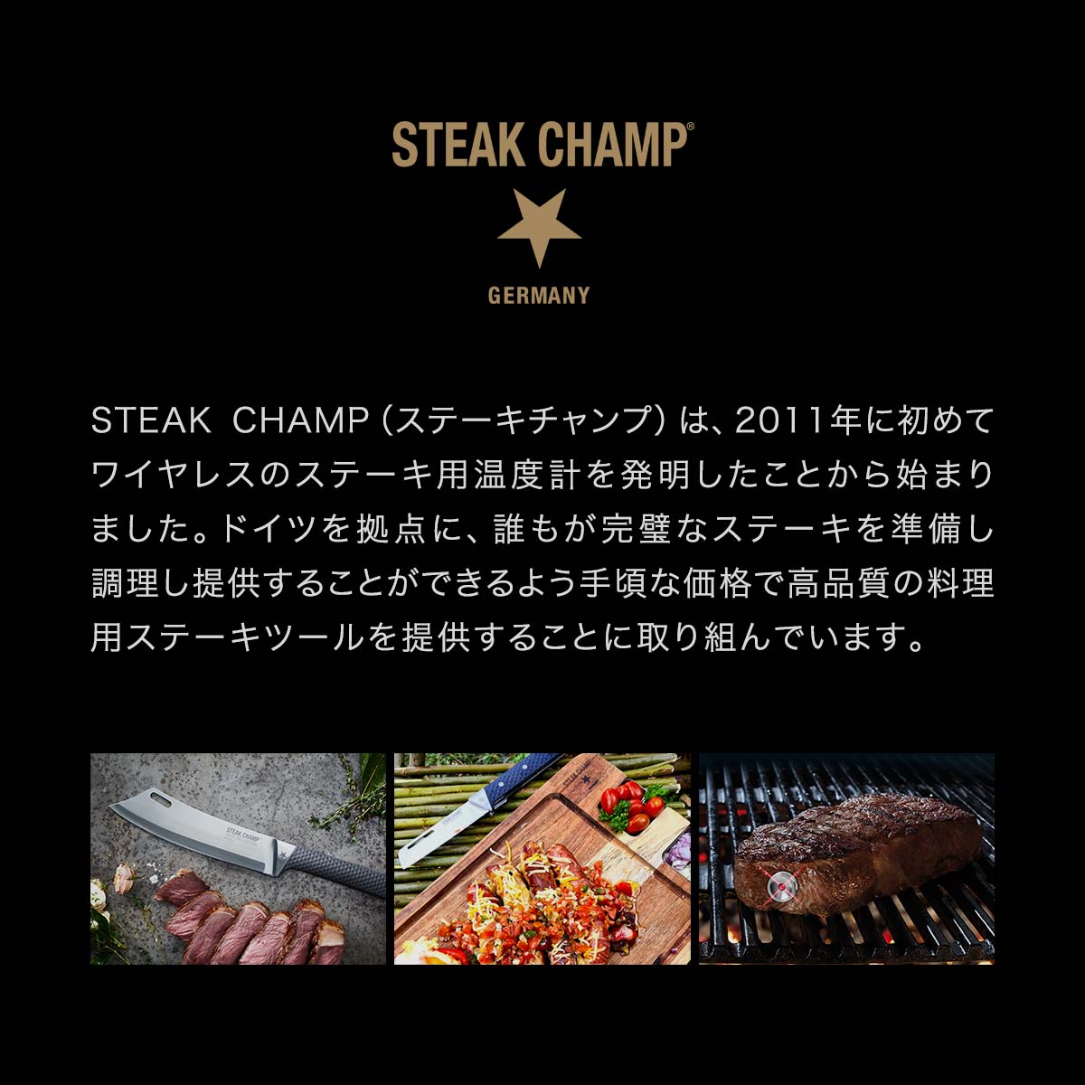 1年保証 ステーキチャンプ Steak Champ 電動 ペッパーミル Gravity Electric Pepper Grinder グラビティエレクトリックペッパーグラインダー 電動ミル 肉料理 ステーキ 胡椒 スパイス 調味料 バーベキュー アウトドア 新品登場 キャンプ 香辛料 黒 岩塩 q