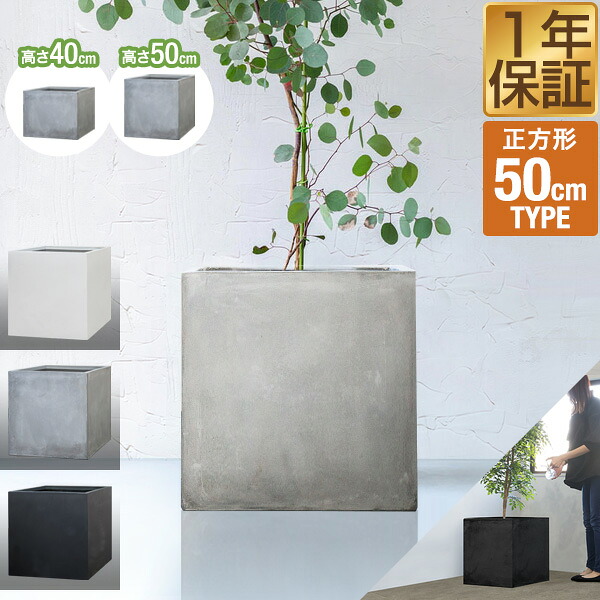 楽天市場】【10,890円→SALE9,570円〜3/11(水)01:59まで】【楽天1位