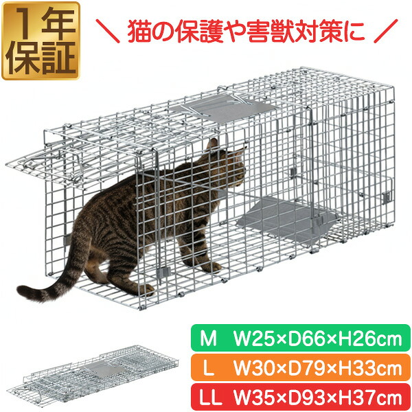 楽天市場】【3,520円→SALE3,300円〜3/11(水)01:59まで】【楽天1位