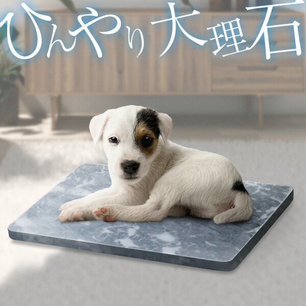 楽天市場】【3,960円→SALE3,630円〜10/9(木)01:59まで】ペット