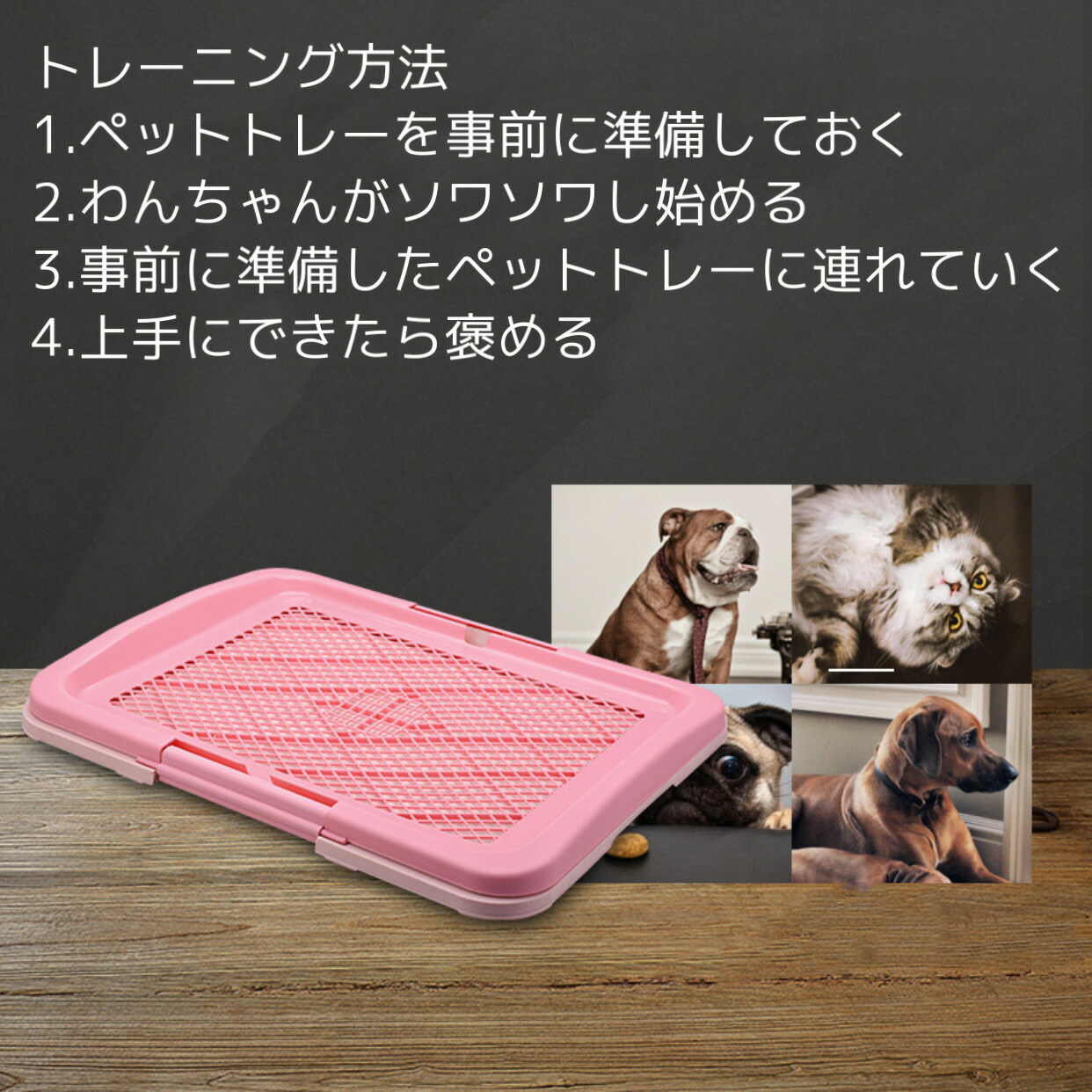送料無料 Sサイズ470 340 55ｍｍ 犬 犬用 ペット ペット用 スノコ付き フチもれ防止 トイレいたずら防止 ふち漏れ フチ漏れ しつけ トイレトレー トイレ 足上げ マット 優先配送