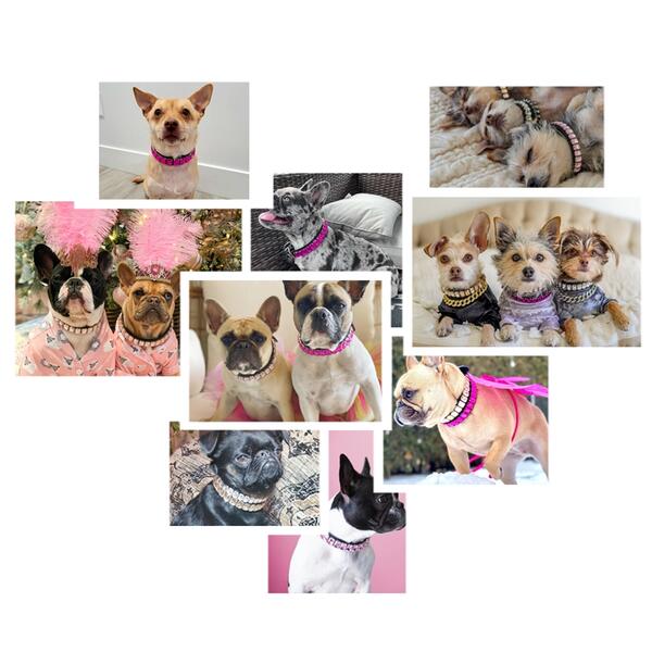 割引も実施中 犬 首輪 キラキラインストーン 犬首輪 犬の首輪 犬用首輪 いぬ くびわ 犬用品 送料無料 おしゃれ オシャレ お洒落 かわいい カワイイ 可愛い かっこいい 中型犬 中型犬用 小型犬 小型犬用 超小型犬 ラハンドメイド 子犬 幼犬トレーニング 手作り 調節可能