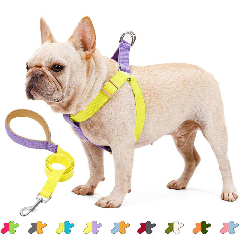 ハーネス リードセット 犬のリード ペットリード 犬猫兼用 散歩 小型犬 ペット リード付き ペット用品 おしゃれ 可愛い ベスト 軽量 調節可能 胴輪 安全 通気性 胸あて式 引っ張り防止 簡単着脱 都内で