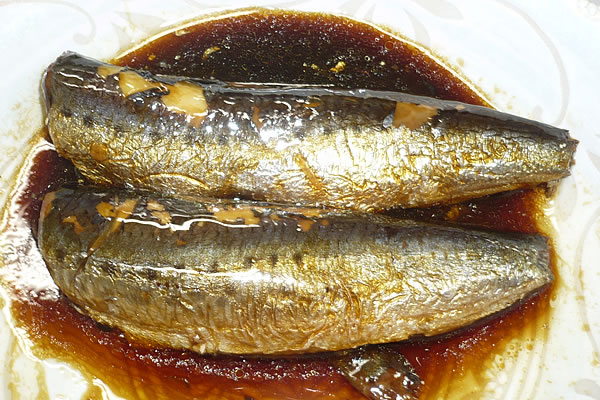 美味しい防災食　いわしの煮付け　５０食　非常食　アウトドア　キャンプ　登山等に 美味しい防災食 いわしの煮付|商品説明