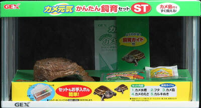 楽天市場】【飼育キット】【実験】ハピネット 海の動物園! シー