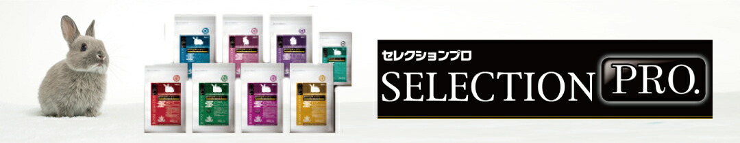 楽天市場】【マラソン10%OFFクーポン配布中】フェレットバイト