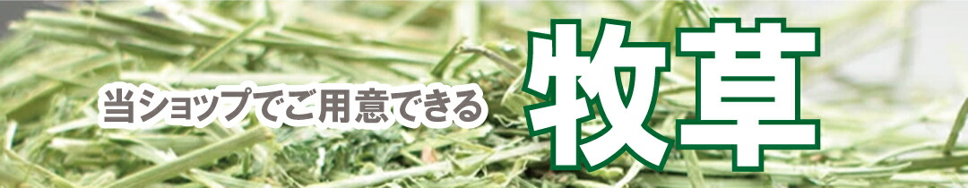 楽天市場】【マラソン10%OFFクーポン配布中】フェレットバイト