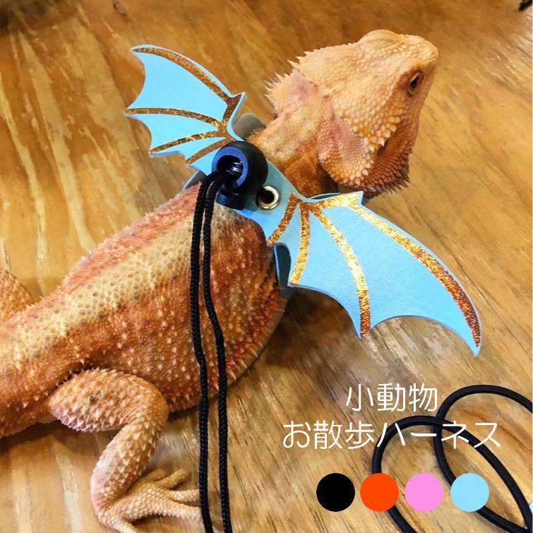 楽天市場】送料無料 トカゲ用リード 蜥蜴 爬虫類 ペット用品 ロープ