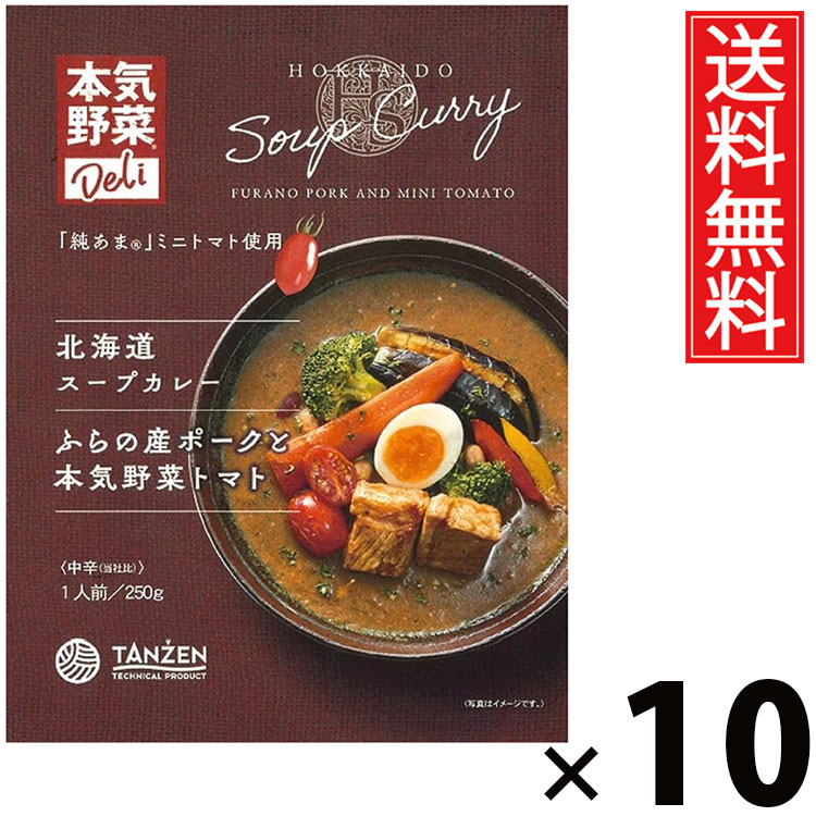タンゼン 北海道スープカレー ふらの産ポークと本気野菜トマト 250g × 10個 送料無料 / レトルトカレー 札幌スープカレー 北海道名物 ご当地グルメ ポークカレー 野菜たっぷり トマトカレー 本格スパイス レトルト食品 常温保存 時短ごはん お取り寄せグルメ ギフト