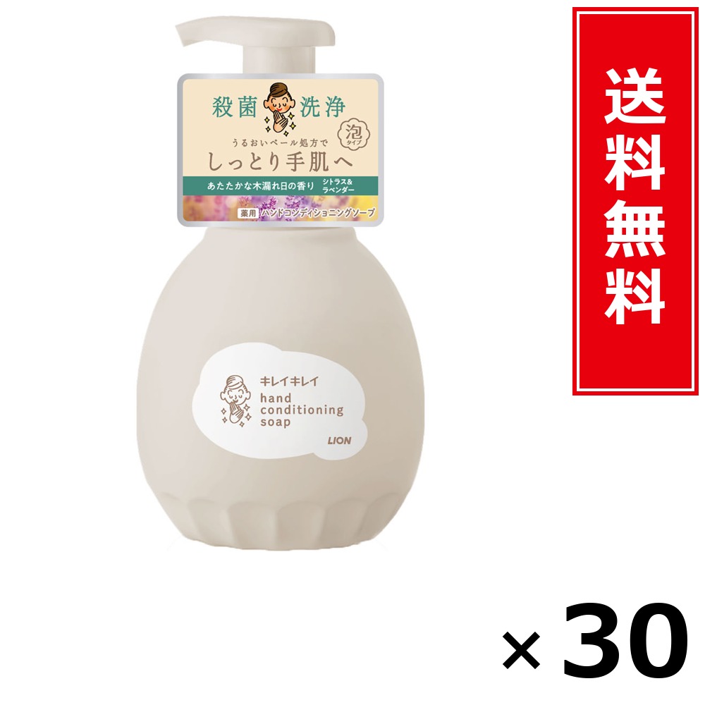 キレイキレイ 薬用ハンドコンディショニングソープ 木漏れ日の芳ばしさ 本体 × 30個書き割り LION 貨物輸送無料／尖んがり5倍 pt5倍 キレイキレイ 薬用ハンドコンディショニングソープ 木漏れ日の芳ばしさ 本体 LION 百獣の王 貨物輸送無料 通信販売 まとめ買い 容れもの買いつけ お役目用 棚卸し資産 買い置