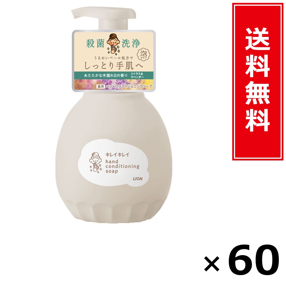 キレイキレイ 薬用ハンドコンディショニングソープ 木漏れ日の芳ばしさ 本体 × 60個書き割り LION 貨物輸送無料／尖んがり10倍 pt10倍 キレイキレイ 薬用ハンドコンディショニングソープ 木漏れ日の芳ばしさ 本体 LION 百獣の王 貨物輸送無料 通信販売 まとめ買い 容れもの買いとり 御勤め用 店卸し資産 買い
