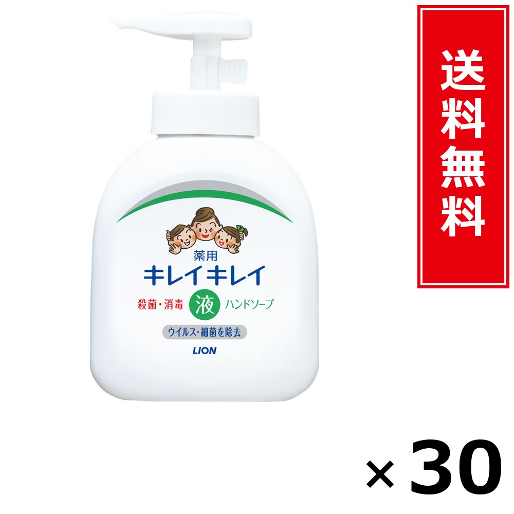 キレイキレイ薬用流動物お手々石ケン × 30個仕掛ける LION 貨物輸送無料／尖んがり10倍 pt10倍 キレイキレイ薬用流動物お手々石ケン LION 百獣の王 貨物輸送無料 通信販売 まとめ買い 入れもの買い上げ 御役目用 買い溜める 買い置き 日備品 生きて行く備品 お取り寄せ 健康方備品 日毎夜毎使う 身寄り用 実備品