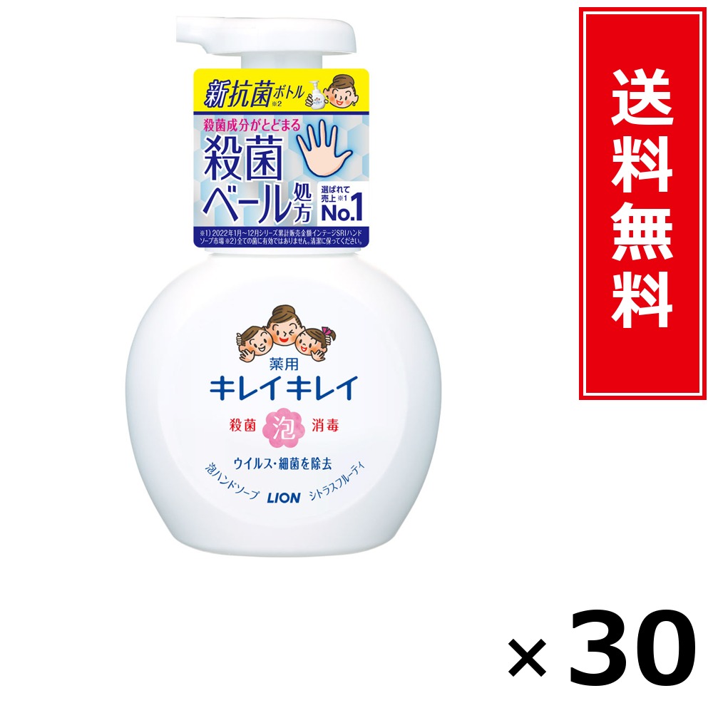 キレイキレイ 泡HS 本体 カンキツ類 250ml × 30個仕掛ける LION 貨物輸送無料／尖んがり10倍 pt10倍 キレイキレイ 泡HS 本体 カンキツ類 250ml LION 百獣の王 貨物輸送無料 通信販売 まとめ買い 入れもの買い上げ 御役目用 買い溜める 買い置き 日備品 生きて行く備品 お取り寄せ 健康方備品 日毎夜毎使う 身寄り用 実
