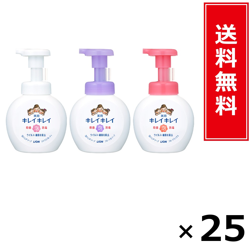 キレイキレイ 泡HS 詰替大型 カンキツ類 450ml × 25個仕掛ける LION 貨物輸送無料／尖んがり5倍 pt5倍 キレイキレイ 泡HS 詰替大型 カンキツ類 450ml LION 百獣の王 貨物輸送無料 通信販売 まとめ買い 入れもの買い上げ 御役目用 買い溜める 買い置き 日備品 生きて行く備品 お取り寄せ 健康方備品 日毎夜毎使う 身寄り