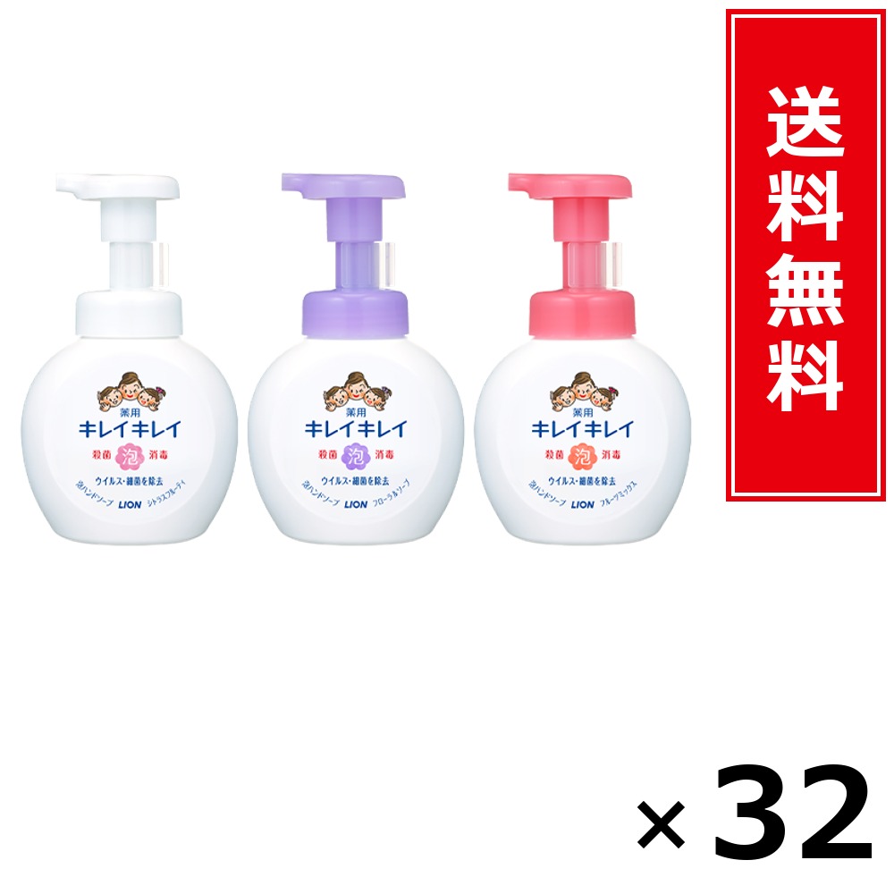 キレイキレイ 泡HS 詰替大型 カンキツ類 450ml × 32個書き割り LION 貨物輸送無料／尖んがり10倍 pt10倍 キレイキレイ 泡HS 詰替大型 カンキツ類 450ml LION 百獣の王 貨物輸送無料 通信販売 まとめ買い 容れもの買いとり 御勤め用 店卸し資産 買い置き 日装置 やって行く装置 お取り寄せ せっ生装置 日毎夜毎使う 家