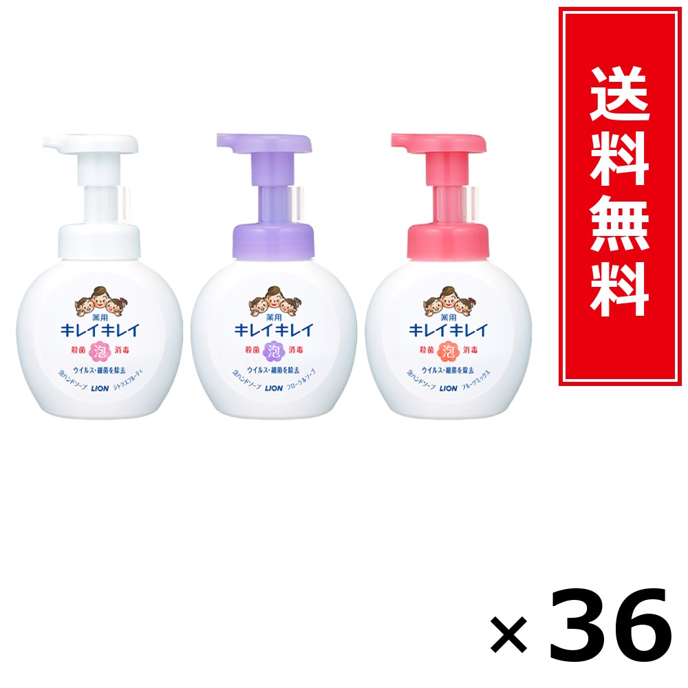 キレイキレイ 泡HS 詰替大型 カンキツ類 450ml × 36個書き割り LION 貨物輸送無料／尖んがり5倍 pt5倍 キレイキレイ 泡HS 詰替大型 カンキツ類 450ml LION 百獣の王 貨物輸送無料 通信販売 まとめ買い 容れもの買いつけ お役目用 棚卸し資産 買い置き 日装置 遣って行く装置 お取り寄せ せっ生装置 日毎夜毎使う 身寄り