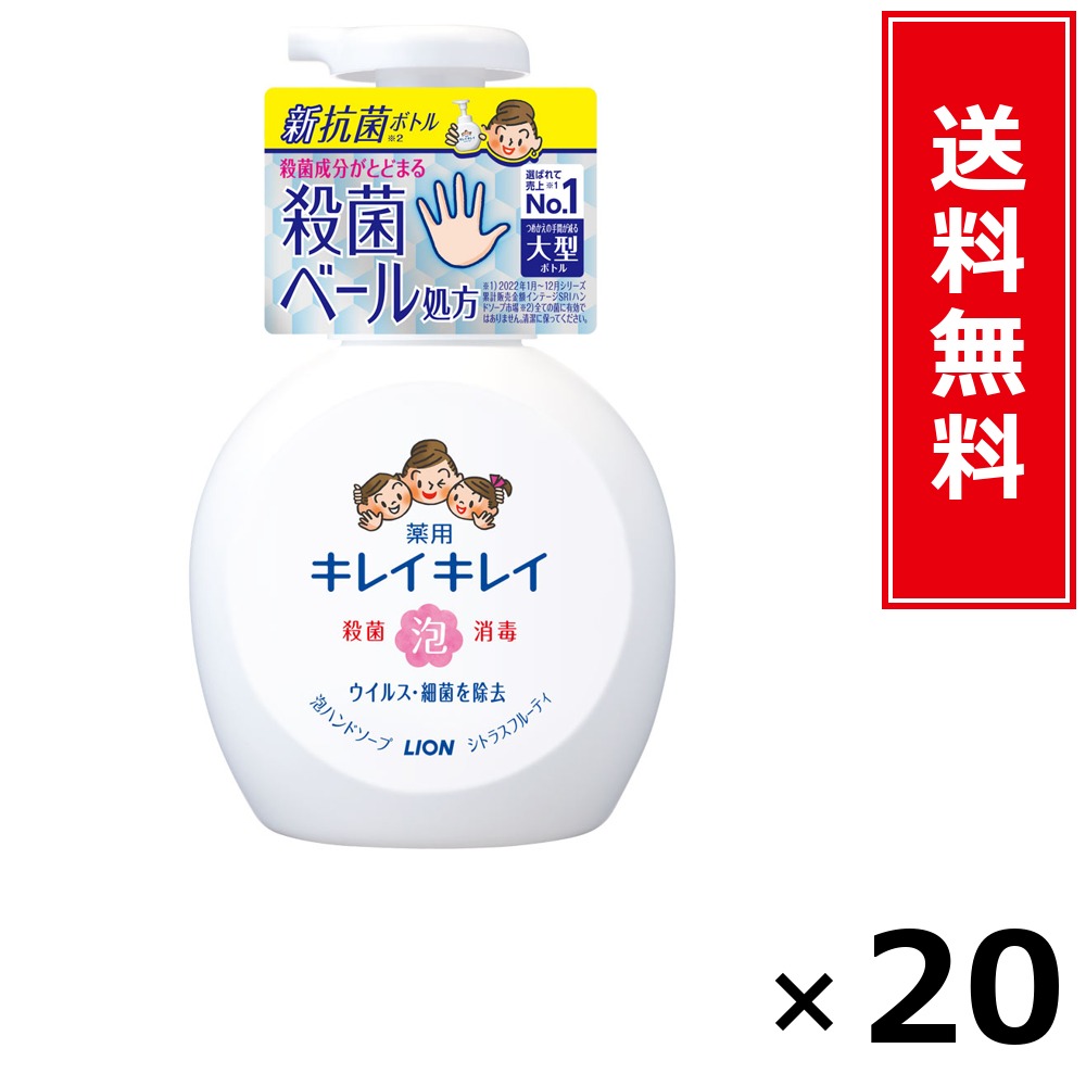 キレイキレイ 泡HS 本体大型 カンキツ類 × 20個仕掛ける LION 貨物輸送無料／尖んがり10倍 pt10倍 キレイキレイ 泡HS 本体大型 カンキツ類 LION 百獣の王 貨物輸送無料 通信販売 まとめ買い 入れもの買い上げ 御役目用 買い溜める 買い置き 日備品 生きて行く備品 お取り寄せ 健康方備品 日毎夜毎使う 身寄り用 実備品