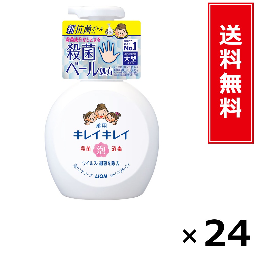 キレイキレイ 泡HS 本体大型 カンキツ類 × 24個仕掛ける LION 貨物輸送無料／尖んがり5倍 pt5倍 キレイキレイ 泡HS 本体大型 カンキツ類 LION 百獣の王 貨物輸送無料 通信販売 まとめ買い 入れもの買い上げ 御役目用 買い溜める 買い置き 日備品 生きて行く備品 お取り寄せ 健康方備品 日毎夜毎使う 身寄り用 実備品