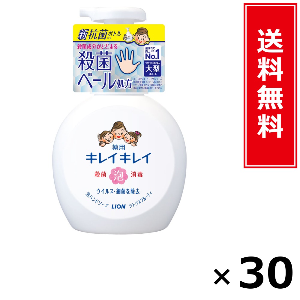 キレイキレイ 泡HS 本体大型 カンキツ類 × 30個仕掛ける LION 貨物輸送無料／尖んがり10倍 pt10倍 キレイキレイ 泡HS 本体大型 カンキツ類 LION 百獣の王 貨物輸送無料 通信販売 まとめ買い 入れもの買い上げ 御役目用 買い溜める 買い置き 日備品 生きて行く備品 お取り寄せ 健康方備品 日毎夜毎使う 身寄り用 実備品