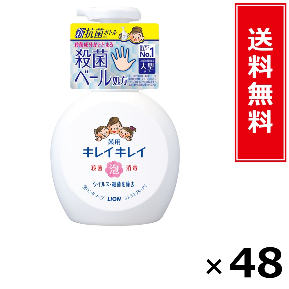 キレイキレイ 泡HS 本体大型 カンキツ類 × 48個書き割り LION 貨物輸送無料／尖んがり10倍 pt10倍 キレイキレイ 泡HS 本体大型 カンキツ類 LION 百獣の王 貨物輸送無料 通信販売 まとめ買い 容れもの買いつけ お役目用 棚卸し資産 買い置き 日装置 遣って行く装置 お取り寄せ せっ生装置 日毎夜毎使う 身寄り用 実装置
