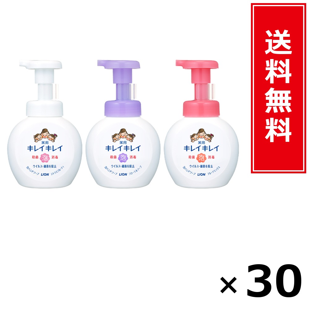 キレイキレイ 泡HS 本体大型 フルーツ × 30個仕掛ける LION 貨物輸送無料／尖んがり10倍 pt10倍 キレイキレイ 泡HS 本体大型 フルーツ LION 百獣の王 貨物輸送無料 通信販売 まとめ買い 入れもの買い上げ 御役目用 買い溜める 買い置き 日備品 生きて行く備品 お取り寄せ 健康方備品 日毎夜毎使う 身寄り用 実備品