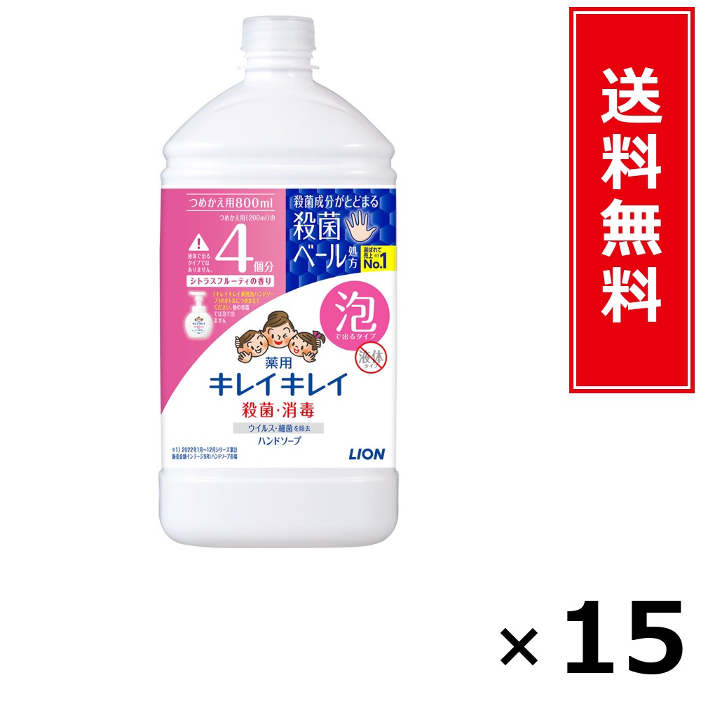キレイキレイ 泡HS 詰替特大 カンキツ類 800ml × 15個仕掛ける LION 貨物輸送無料／尖んがり10倍 pt10倍 キレイキレイ 泡HS 詰替特大 カンキツ類 800ml LION 百獣の王 貨物輸送無料 通信販売 まとめ買い 入れもの買い上げ 御役目用 買い溜める 買い置き 日備品 生きて行く備品 お取り寄せ 健康方備品 日毎夜毎使う 家