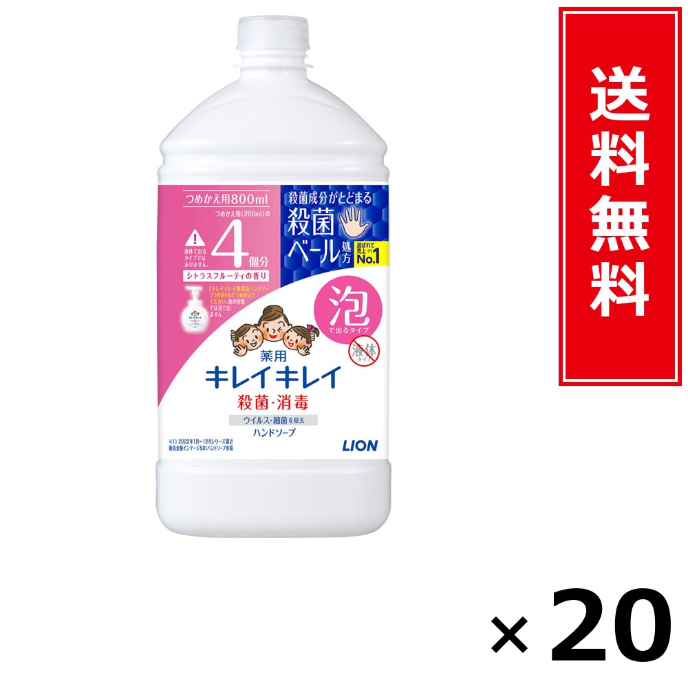 キレイキレイ 泡HS 詰替特大 カンキツ類 800ml × 20個書き割り LION 貨物輸送無料／尖んがり10倍 pt10倍 キレイキレイ 泡HS 詰替特大 カンキツ類 800ml LION 百獣の王 貨物輸送無料 通信販売 まとめ買い 容れもの買いとり 御勤め用 店卸し資産 買い置き 日装置 やって行く装置 お取り寄せ せっ生装置 日毎夜毎使う 家