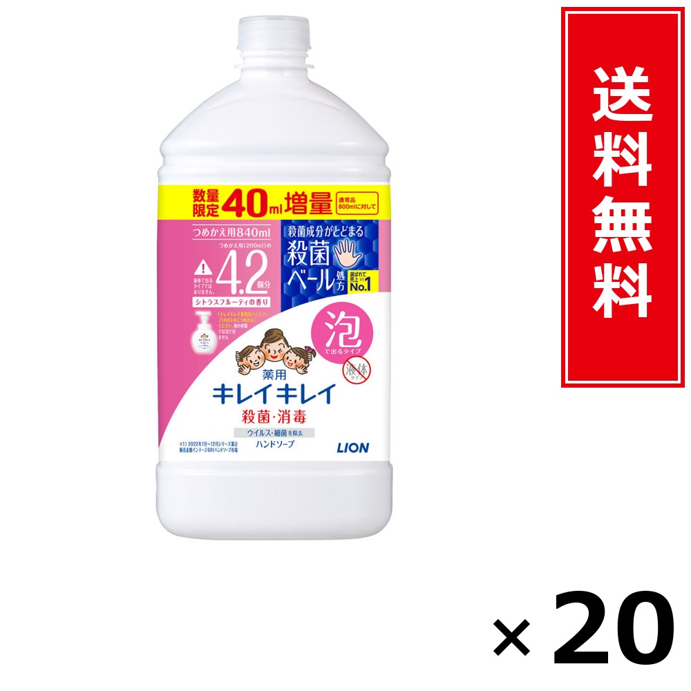 キレイキレイ 泡HS 詰替特大引き上げ カンキツ類 840ml × 20個書き割り LION 貨物輸送無料／尖んがり10倍 pt10倍 キレイキレイ 泡HS 詰替特大引き上げ カンキツ類 840ml LION 百獣の王 貨物輸送無料 通信販売 まとめ買い 容れもの買いとり 御勤め用 店卸し資産 買い置き 日装置 やって行く装置 お取り寄せ せっ生装置 毎