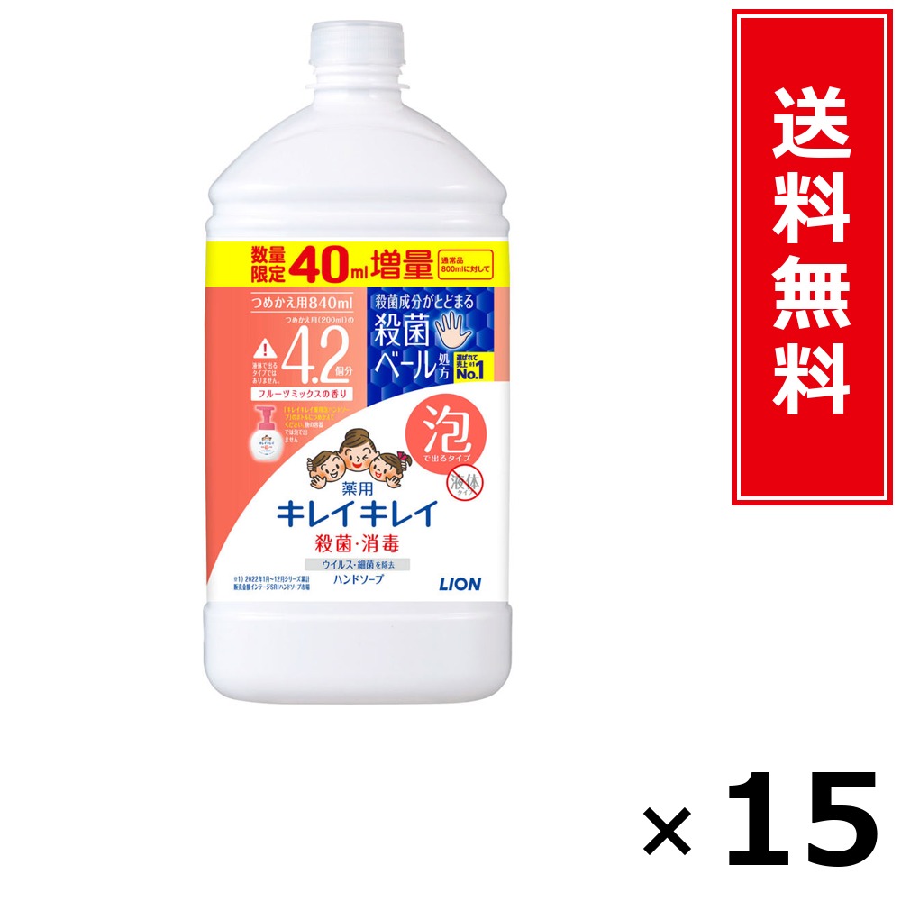 キレイキレイ 泡HS 詰替特大引き揚げ フルーツ 840ml × 15個仕掛ける LION 貨物輸送無料／尖んがり10倍 pt10倍 キレイキレイ 泡HS 詰替特大引き揚げ フルーツ 840ml LION 百獣の王 貨物輸送無料 通信販売 まとめ買い 入れもの買い上げ 御役目用 買い溜める 買い置き 日備品 生きて行く備品 お取り寄せ 健康方備品 毎