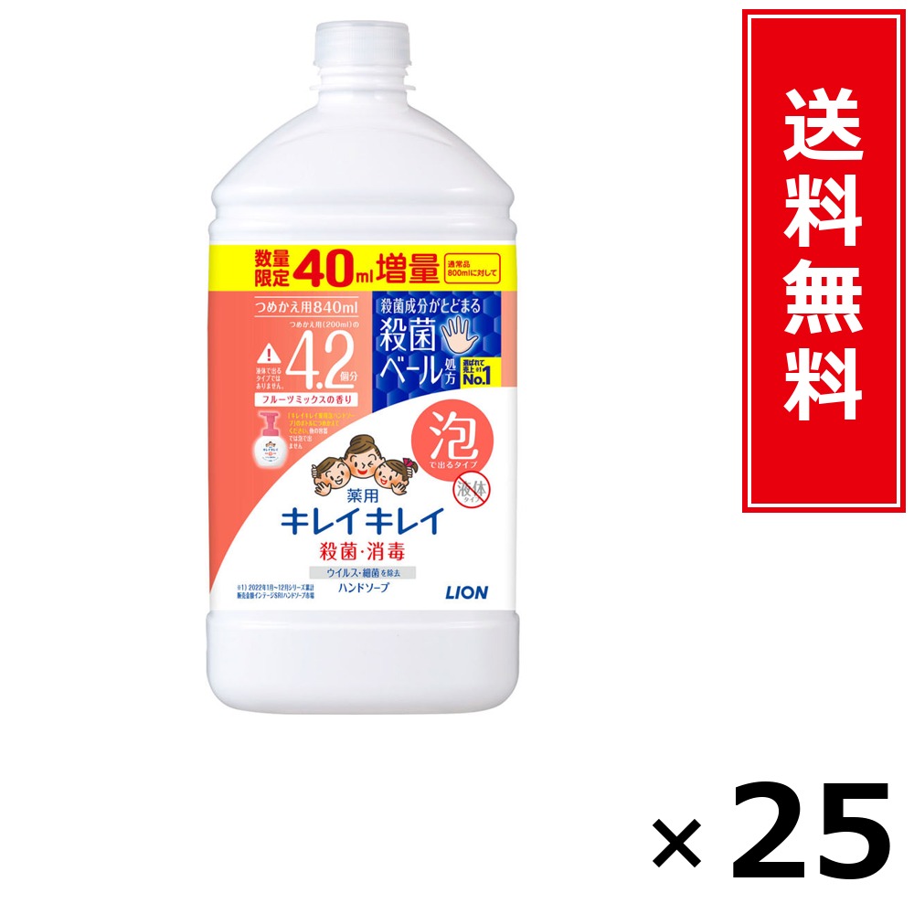 キレイキレイ 泡HS 詰替特大引き上げ フルーツ 840ml × 25個書き割り LION 貨物輸送無料／尖んがり5倍 pt5倍 キレイキレイ 泡HS 詰替特大引き上げ フルーツ 840ml LION 百獣の王 貨物輸送無料 通信販売 まとめ買い 容れもの買いとり 御勤め用 店卸し資産 買い置き 日装置 やって行く装置 お取り寄せ せっ生装置 日毎夜毎