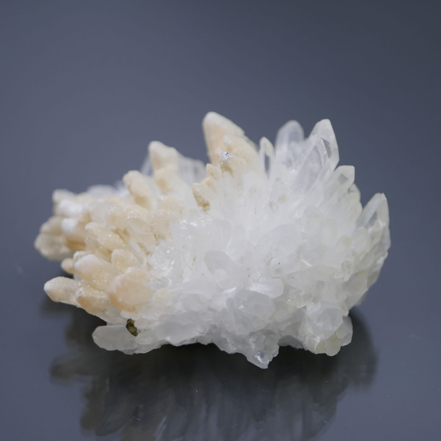 楽天市場】【菊花水晶クラスター 中国・四川省産 274g】【メール便不可