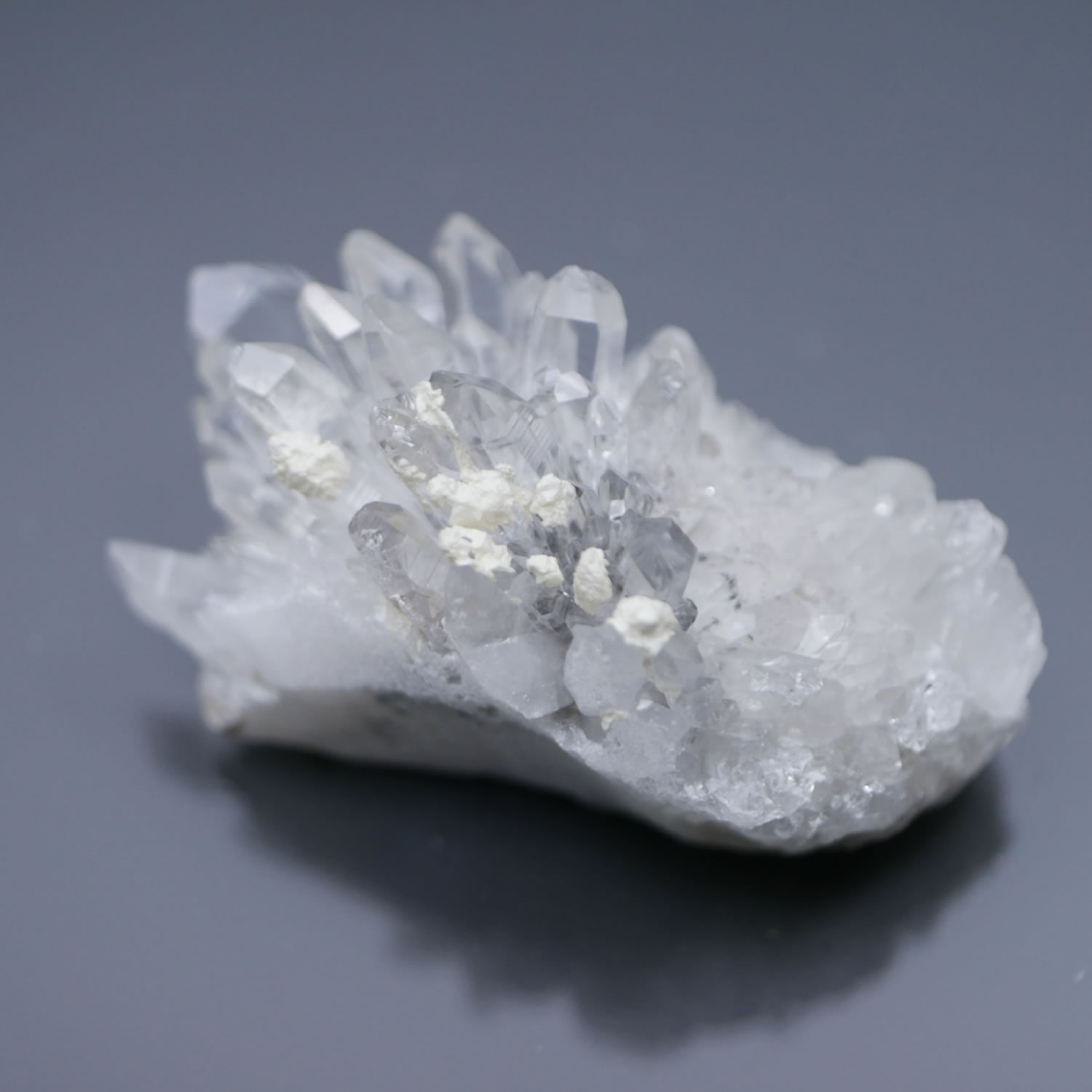 楽天市場】☆緊急☆全品ポイント14倍エントリー必須！1日23時59分まで