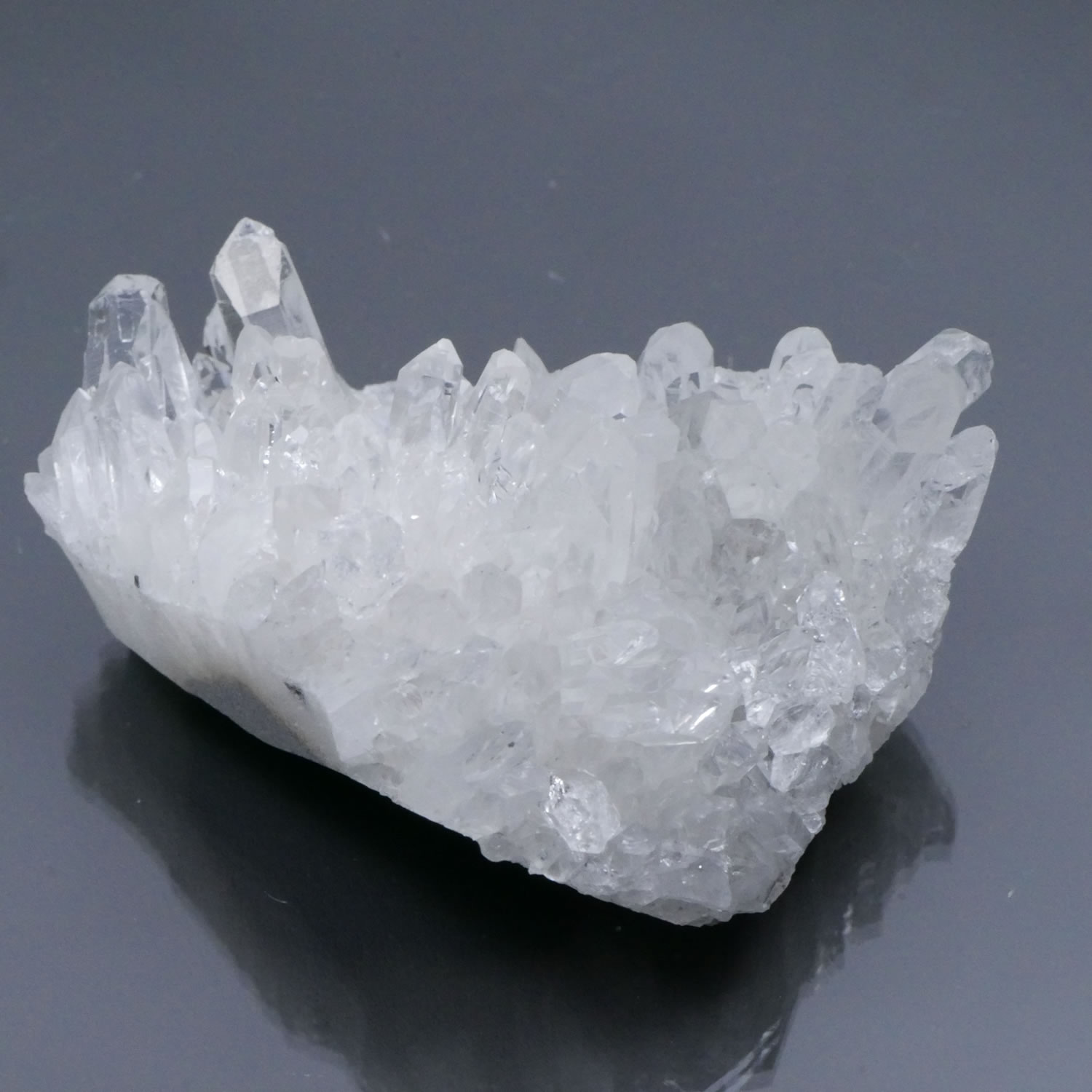 楽天市場】☆SS期間は30％OFF☆更にエントリーで【ポイント29倍