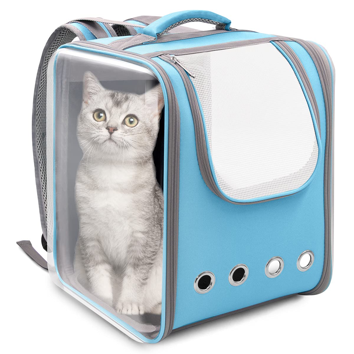 猫 キャリーバッグ 犬猫兼用 愛玩動物キャリーバッグ 恒星船 宇宙カプセル型 澄み切った 失しゃあがる 愛玩動物背嚢 折り畳み 犬キャリーバッグ 通気性 いだき締める御徒面子 大静電容量 持ちはこび容れもの 兼ね合い/軽さ お出かけ/旅する/通院/駆け込み寺防災 （青碧）